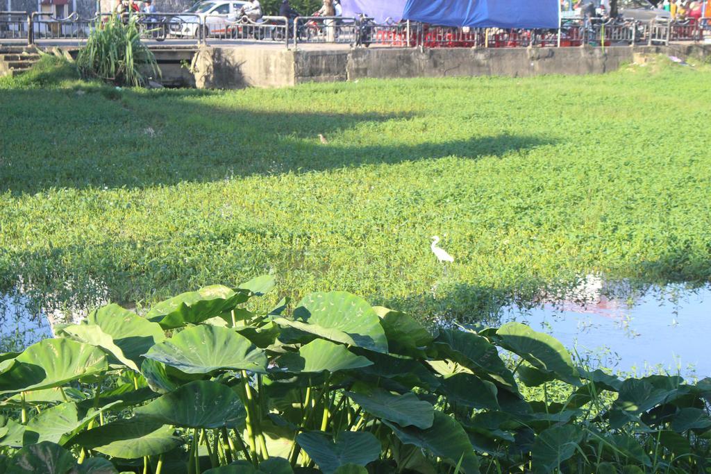 Hoi An Green View Homestay & Villa Exterior photo